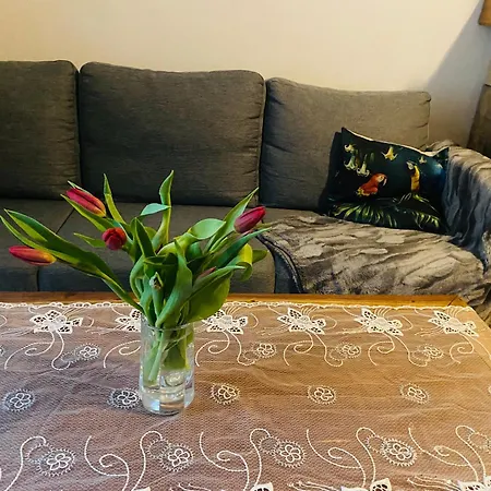 Cozy Vene Street 1 Apartment Tallinn